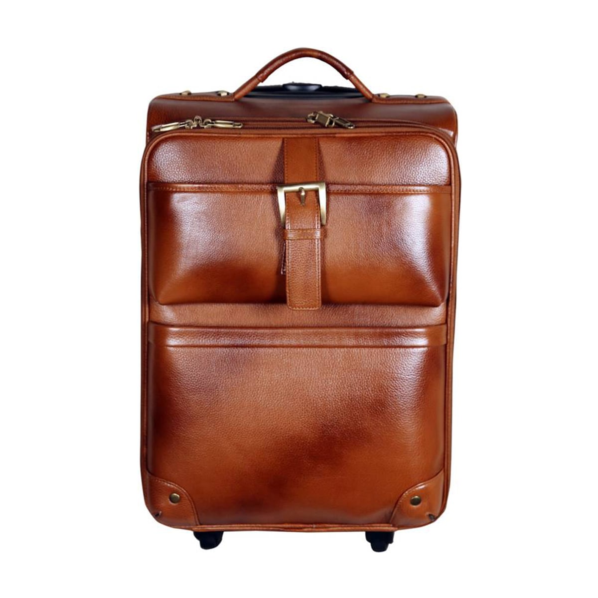 leather trolly bag